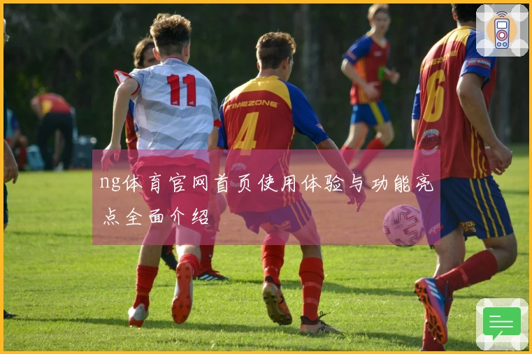 ng体育官网首页使用体验与功能亮点全面介绍