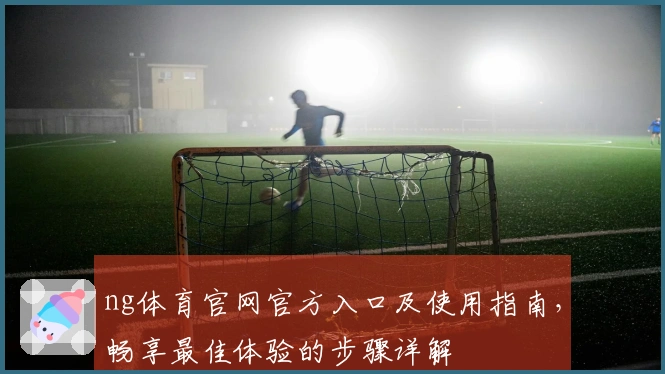 ng体育官网官方入口及使用指南，畅享最佳体验的步骤详解