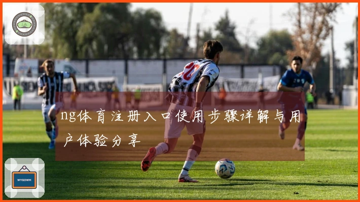 ng体育注册入口使用步骤详解与用户体验分享