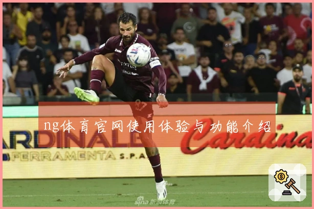 ng体育官网使用体验与功能介绍