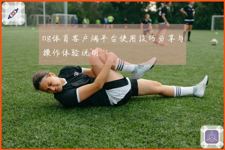 ng体育客户端平台使用技巧分享与操作体验说明