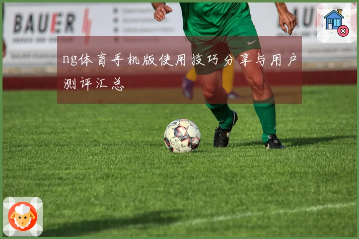 ng体育手机版使用技巧分享与用户测评汇总
