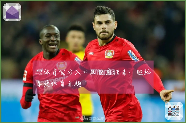 ng体育官方入口及使用指南，轻松享受体育乐趣