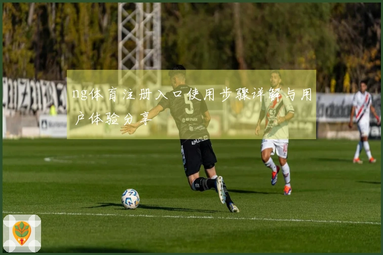 ng体育注册入口使用步骤详解与用户体验分享